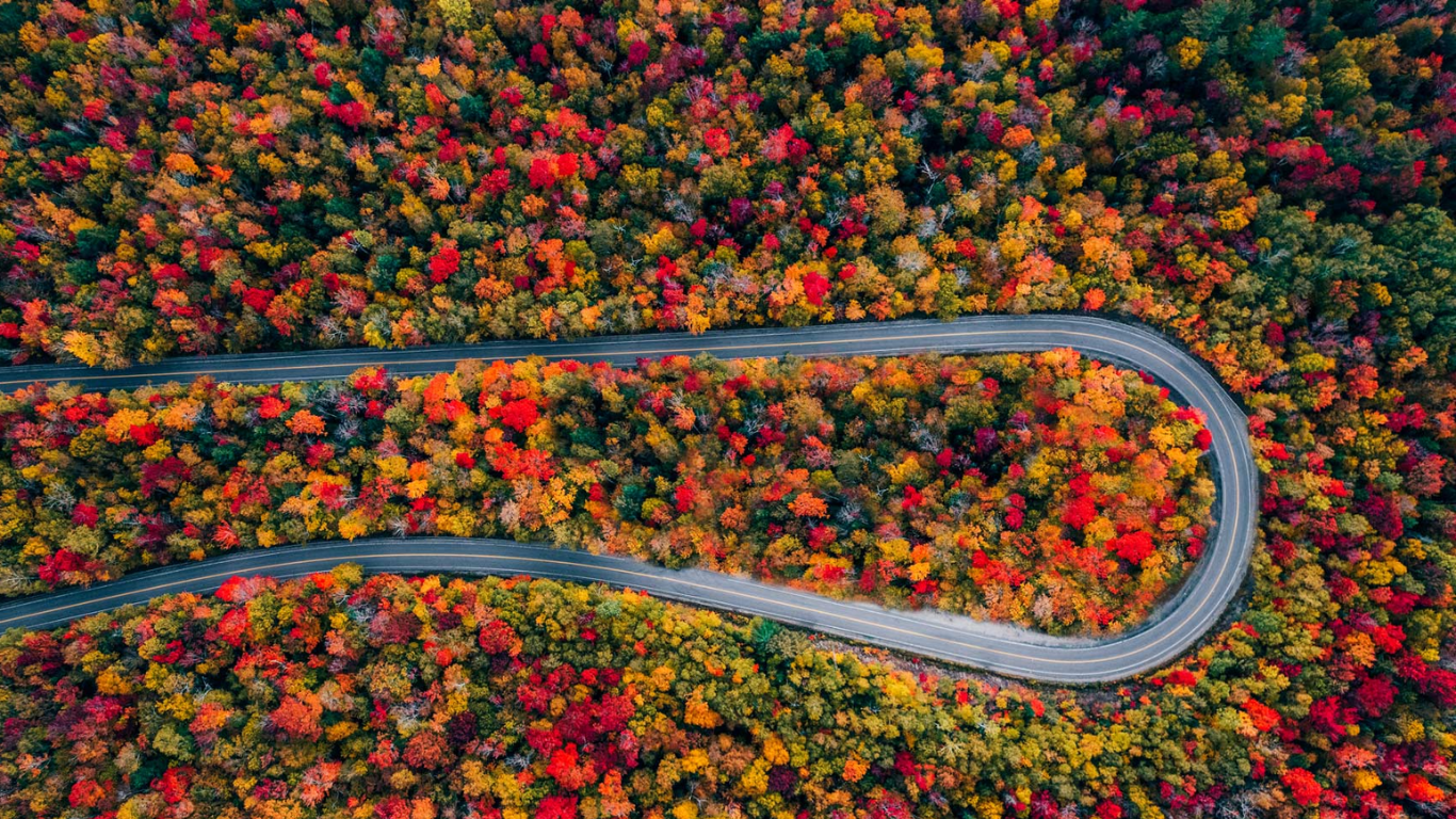 KANCAMAGUS HIGHWAY – “TUYỆT SẮC THU LỘ” TRÊN HÀNH TRÌNH TOUR DU LỊCH MỸ