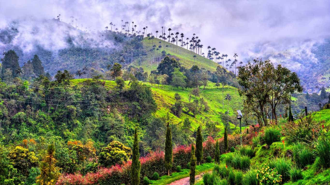 LẠ LẪM THUNG LŨNG COCORA – THIÊN ĐƯỜNG XANH BIỂU TƯỢNG CỦA COLOMBIA TRONG TOUR DU LỊCH CHÂU MỸ