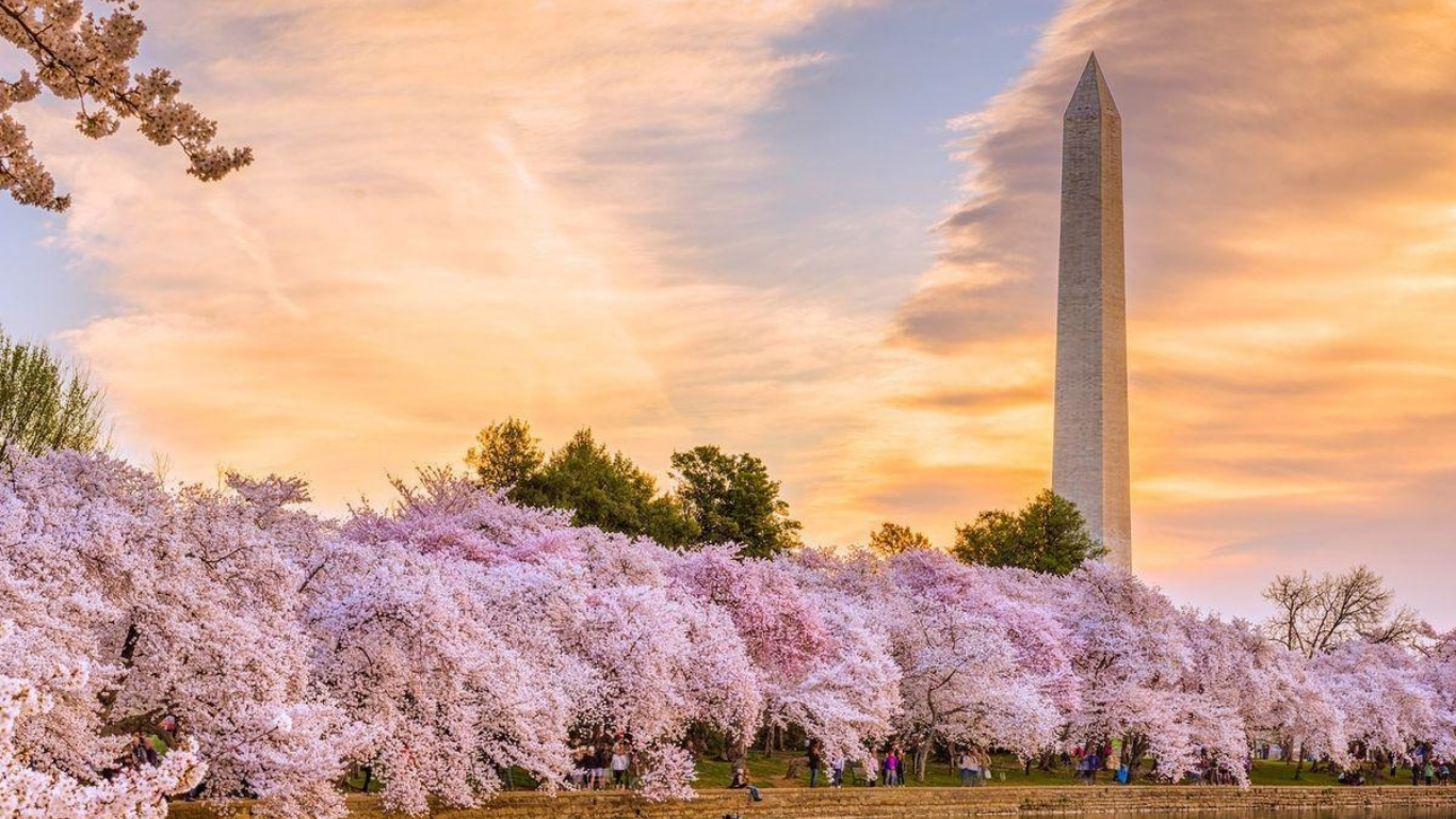 TOUR MÙA HOA ANH ĐÀO – HAI BỜ ĐÔNG TÂY NƯỚC MỸ