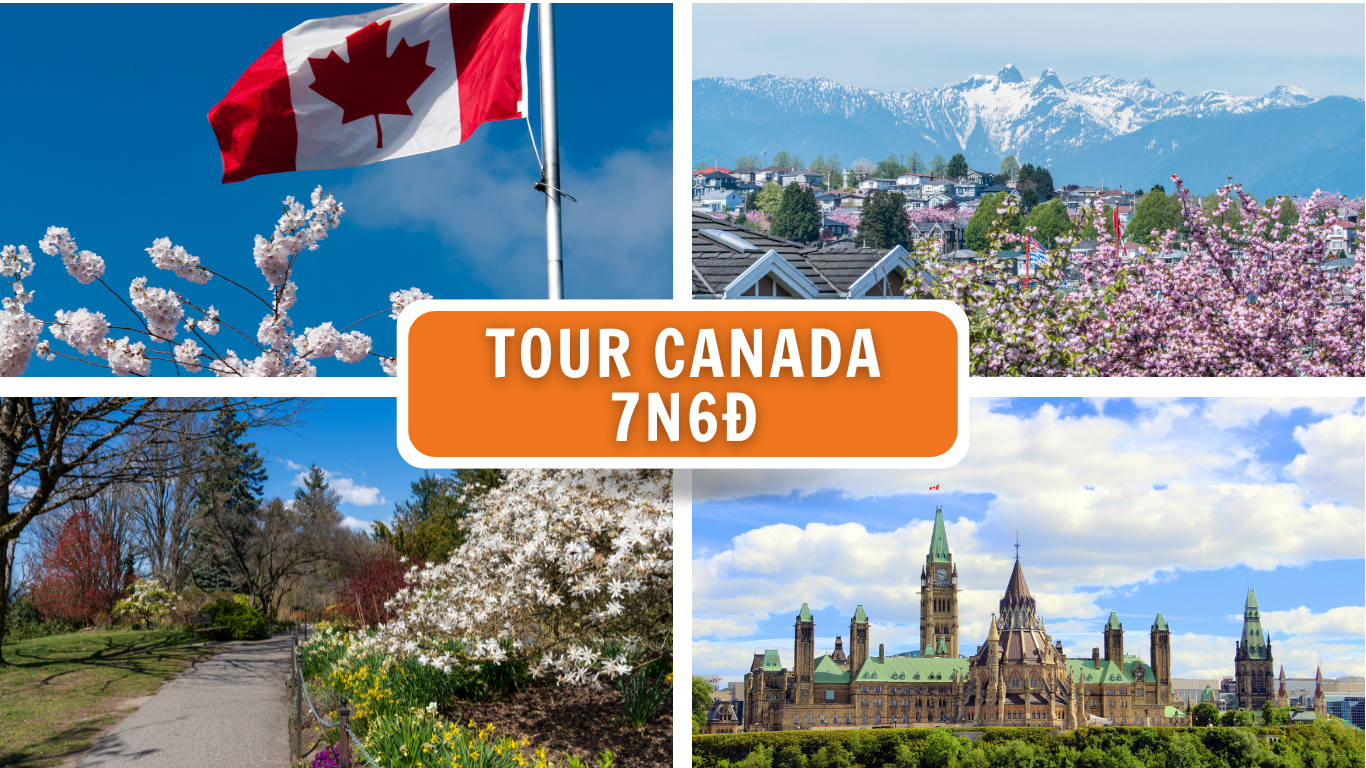 TOUR BỜ TÂY CANADA MÙA HOA ANH ĐÀO 7N6Đ